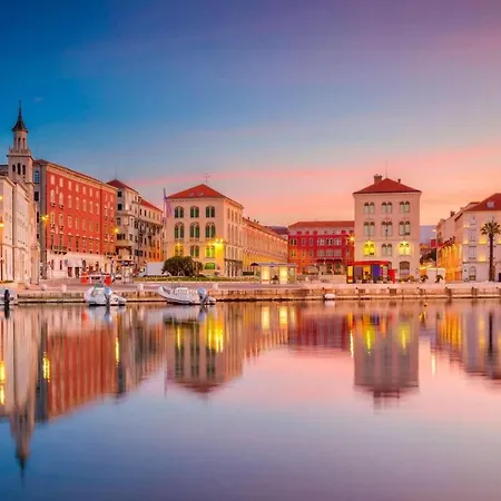 Rasotica